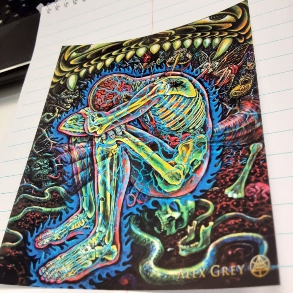 Negative Energy Sticker